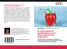 El antioxidante N-Acetilcisteína en la diferenciación de adipocitos kitap kapağı