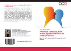 Práctica Forense, una mirada posible desde el Trabajo Social kitap kapağı