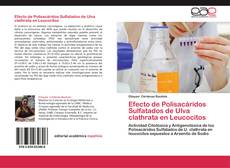 Bookcover of Efecto de Polisacáridos Sulfatados de Ulva clathrata en Leucocitos