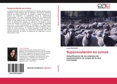 Bookcover of Superovulación en ovinos