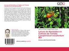 Portada del libro de Larvas de Noctuidos en Cultivos de Tomate Lycopersicon esculentum Mill