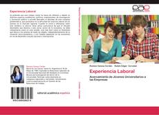 Experiencia Laboral的封面