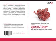 Bookcover of Cultivo de "Pleurotus djamor var. roseus"