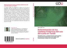 Copertina di Determinación de los cambios históricos del uso del suelo en Tandil
