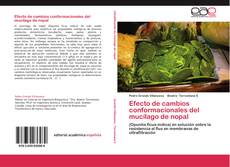 Bookcover of Efecto de cambios conformacionales del mucílago de nopal