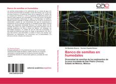 Buchcover von Banco de semillas en humedales