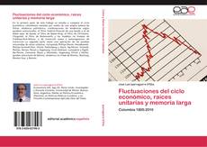 Bookcover of Fluctuaciones del ciclo económico, raíces unitarias y memoria larga