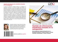 Buchcover von Gestión de información estadística basada en la autogestión