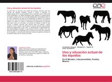 Uso y situación actual de los équidos kitap kapağı