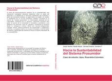 Hacia la Sustentabilidad del Sistema Prosumidor kitap kapağı