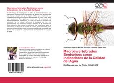 Bookcover of Macroinvertebrados Bentónicos como Indicadores de la Calidad del Agua