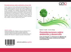 Bookcover of Consideraciones sobre ambiente y desarrollo