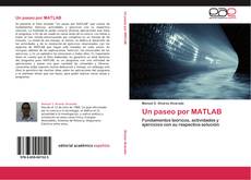 Bookcover of Un paseo por MATLAB