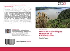 Capa do livro de Identificación biológico-molecular de Cianobacterias 