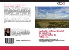 Bookcover of Evolución paleoambiental de estuarios mesomareales de Patagonia