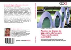 Buchcover von Análisis de Mapas de Espesor en Líneas de Proceso de Acero Inoxidable