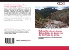 Bookcover of Rehabilitación de áreas degradadas en canteras de Santiago de Cuba