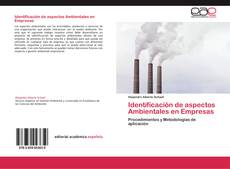 Bookcover of Identificación de aspectos Ambientales en Empresas