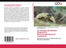 Portada del libro de La tortuga del Bolsón (Gopherus flavomarginatus) en cautiverio