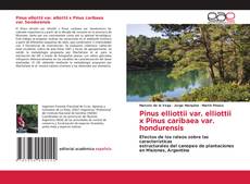 Bookcover of Pinus elliottii var. elliottii x Pinus caribaea var. hondurensis