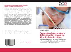 Expresión de genes para determinación sexual en Atractosteus tropicus kitap kapağı