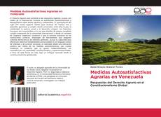 Medidas Autosatisfactivas Agrarias en Venezuela kitap kapağı