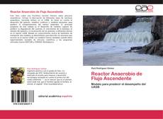 Reactor Anaerobio de Flujo Ascendente kitap kapağı