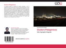 Clusters Patagónicos kitap kapağı