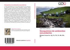 Geoquímica de ambientes secundarios kitap kapağı