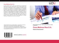 Bookcover of Caso Molinos Roa S.A.