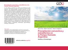 Portada del libro de Precipitación convectiva y estratiforme en la Pampa Húmeda Argentina