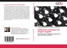 Bookcover of Carbones activados de origen vegetal