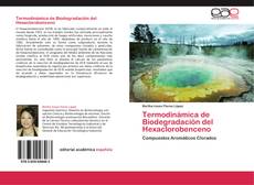 Bookcover of Termodinámica de Biodegradación del Hexaclorobenceno