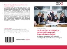 Capa do livro de Aplicación de métodos prospectivos en el municipio de Lajas 