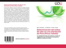 Capa do livro de Determinación del índice de sitio en una plantación de Pino (Pinus radiata) 