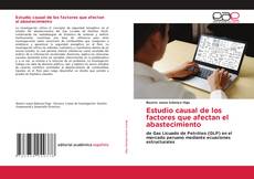 Buchcover von Estudio causal de los factores que afectan el abastecimiento