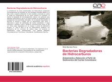 Portada del libro de Bacterias Degradadoras de Hidrocarburos