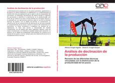 Bookcover of Análisis de declinación de la producción