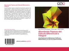 Buchcover von Abordando Tópicos del Cálculo Diferencial e Integral
