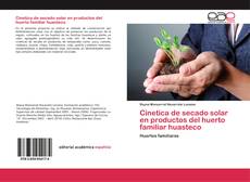 Bookcover of Cinetica de secado solar en productos del huerto familiar huasteco