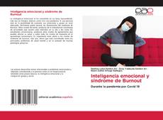 Portada del libro de Inteligencia emocional y síndrome de Burnout