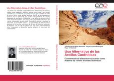 Uso Alternativo de las Arcillas Caoliniticas kitap kapağı
