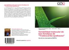Capa do livro de Variabilidad molecular de tres fenotipos de "Tradescantia spathacea" 