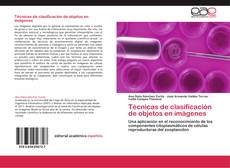 Bookcover of Técnicas de clasificación de objetos en imágenes