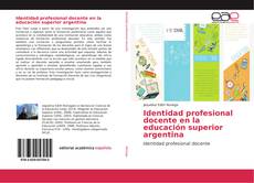 Обложка Identidad profesional docente en la educación superior argentina