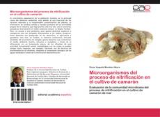 Capa do livro de Microorganismos del proceso de nitrificación en el cultivo de camarón 