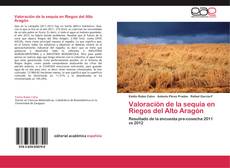 Buchcover von Valoración de la sequía en Riegos del Alto Aragón