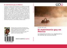 Portada del libro de El matrimonio gay en México