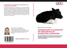Buchcover von Comparación y evaluación de indicadores de producción y bienestar
