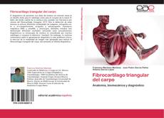 Buchcover von Fibrocartilago triangular del carpo